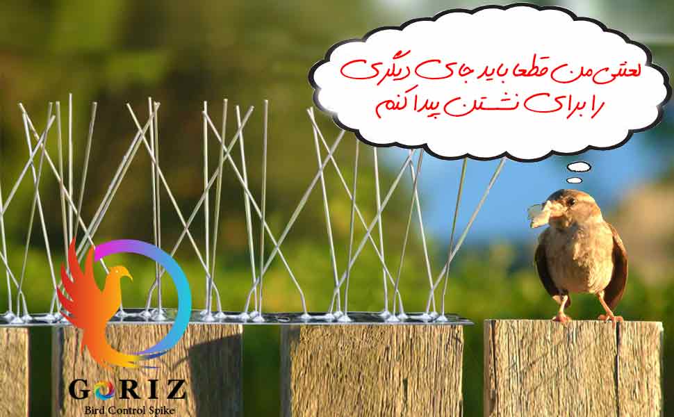 bird-spikes-goriz-negindasht