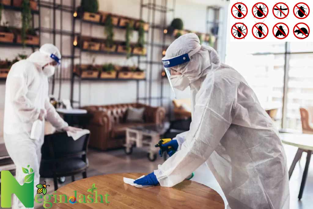 office pest control negindasht