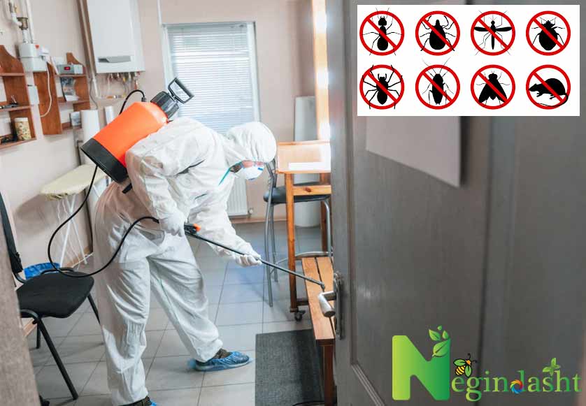 pest control Hospital spraying