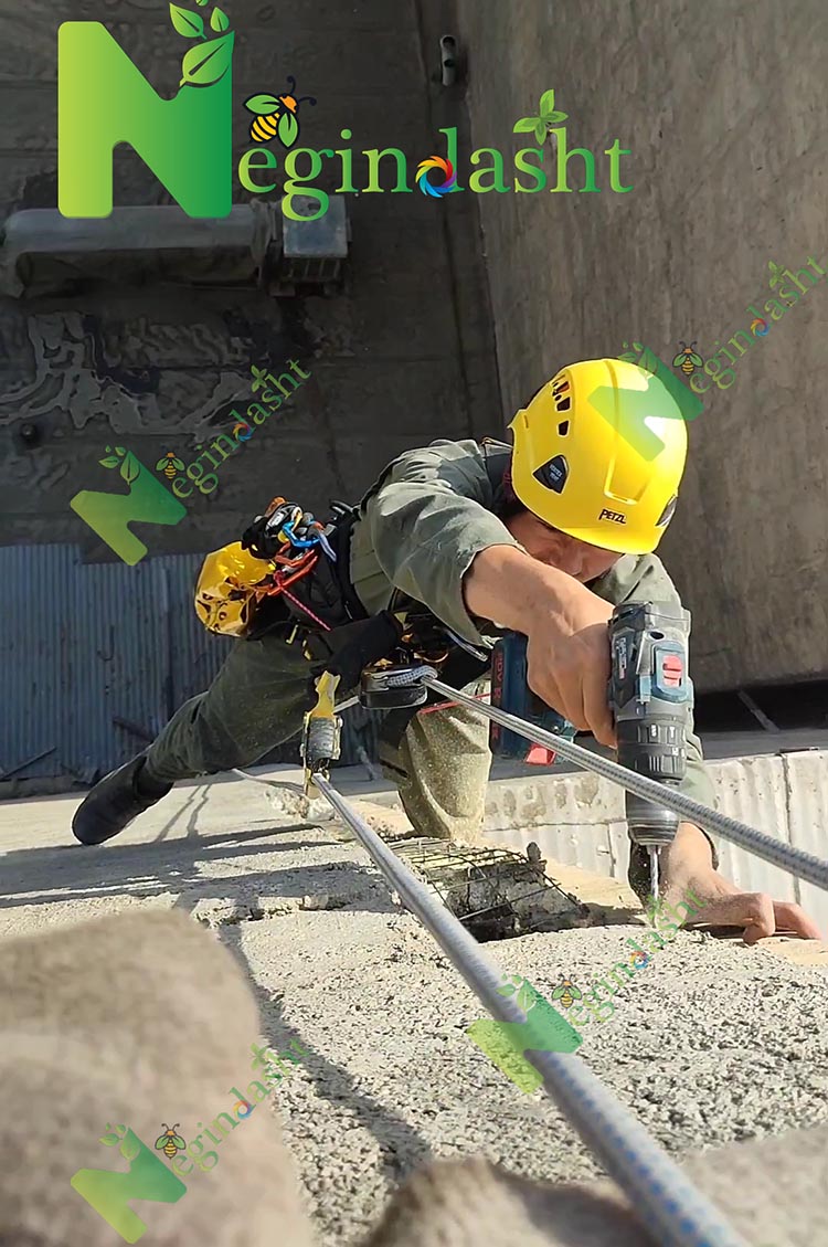 ropel negindasht pest control
