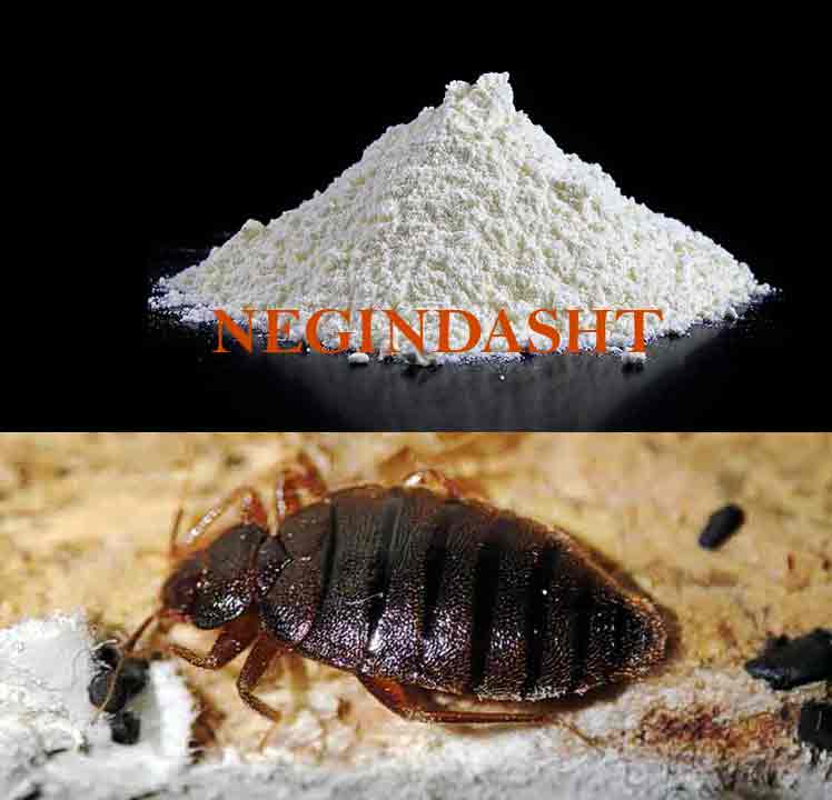 خاک دیاتومه برای ساس Diatomaceous earth and bed bugs