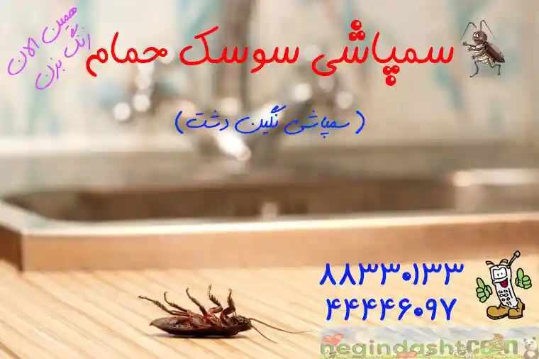 سمپاشی تضمینی سوسک بزرگ فاضلابی