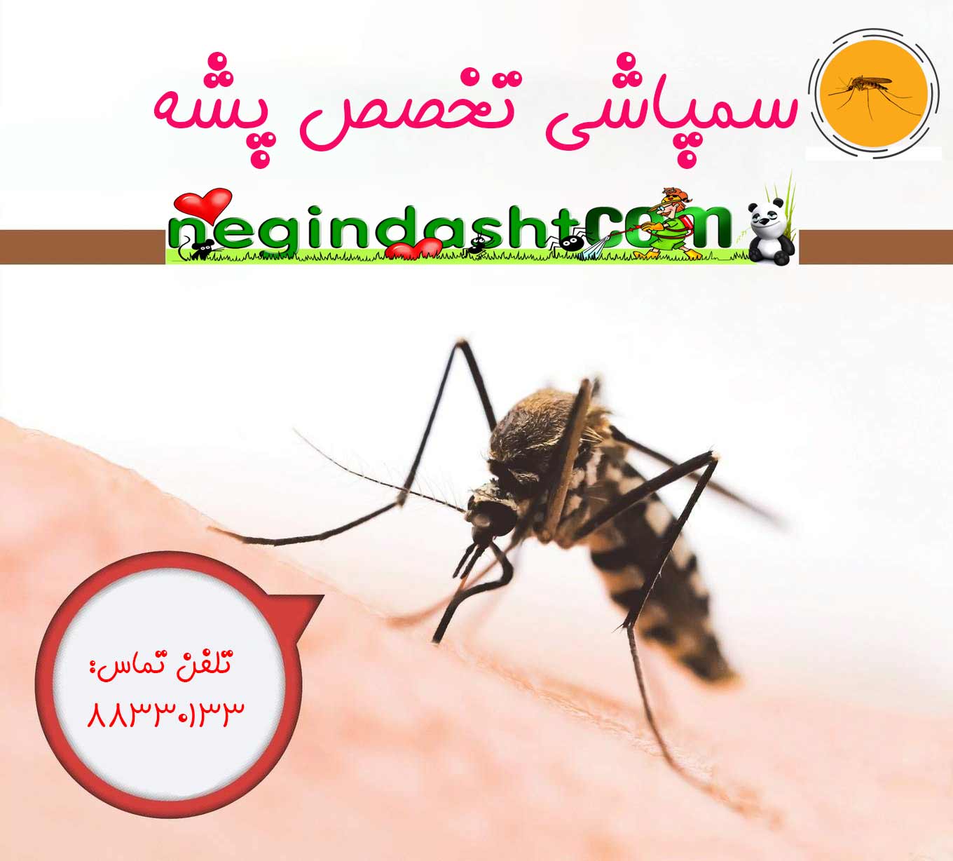 Mosquito diseases 1360 x 1228